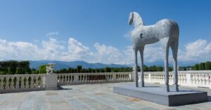 storia del cavallo della reggia di venaria reale